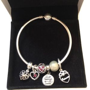 Pandora Bangle Bracelet with charms